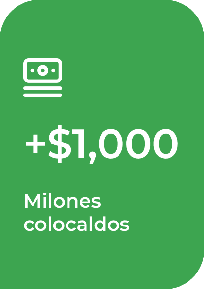 Kapital Flex section 4